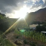 Casa Social y Multiservicios